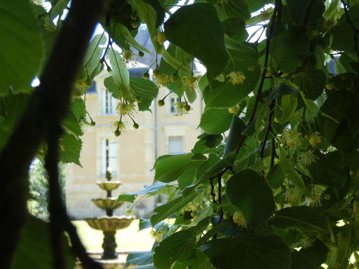 Chateau Marith - Etablissement Climatise Avec Piscine Hotel Clairac  Bagian luar foto
