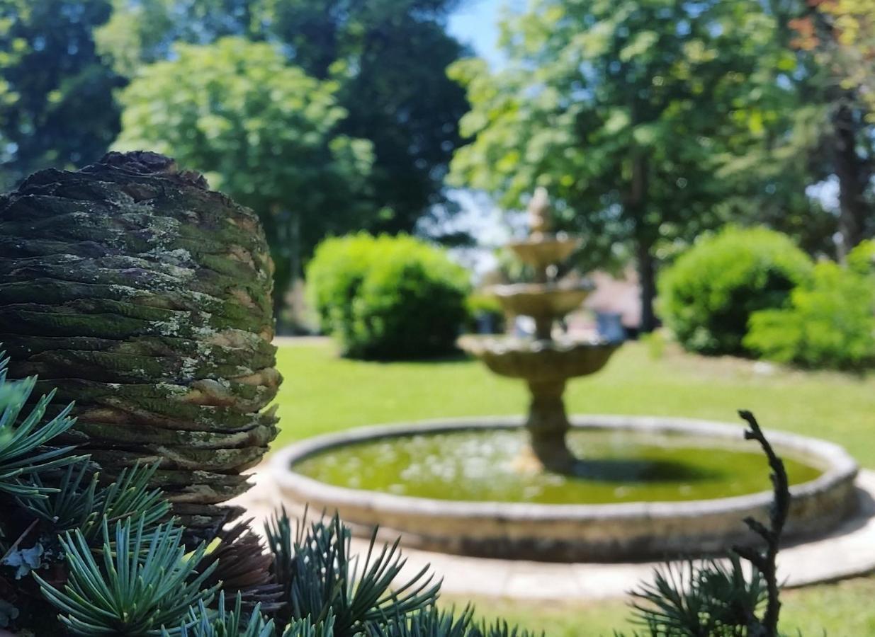 Chateau Marith - Etablissement Climatise Avec Piscine Hotel Clairac  Bagian luar foto